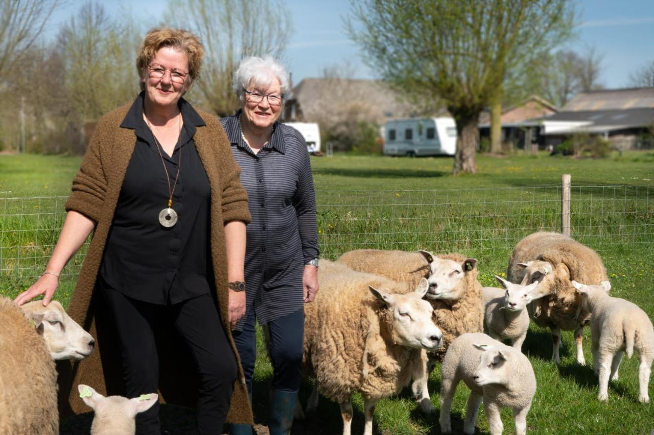 Hoeve De Mertel Biezenmortel Kültér fotó